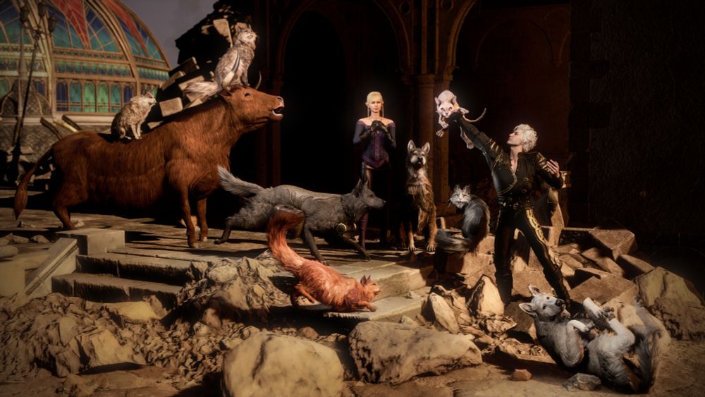 Astarion saves a cat from the rubble. Around him are cats, dogs, and a cow. In the center is the smiling Aristen.

