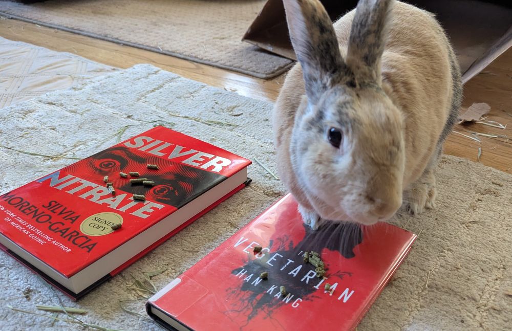 A light orange rabbit with gray markings on her ears has a paw on a physical copy of "Vegetarian" by Han Kang while a physical copy of "Silver Nitrate" lies on the floor with untouched rabbit pellets on it