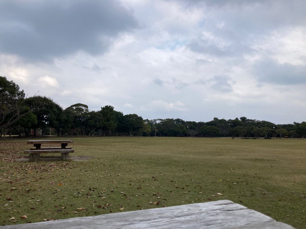 公園の広場　テーブルからの眺め　曇り空