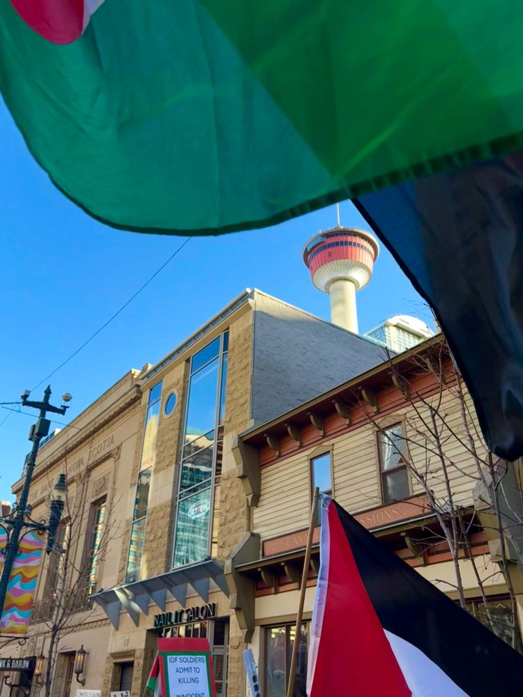 Palestine flags seem to frame the Calgary Tower. An urban streetscape otherwise complete the scene. 