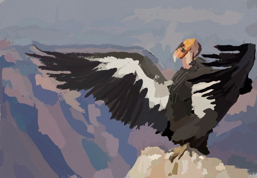 Used #procreate to paint this condor in #oil style. Its wings are outspread, welcoming the sun to this godforsaken planet. #art