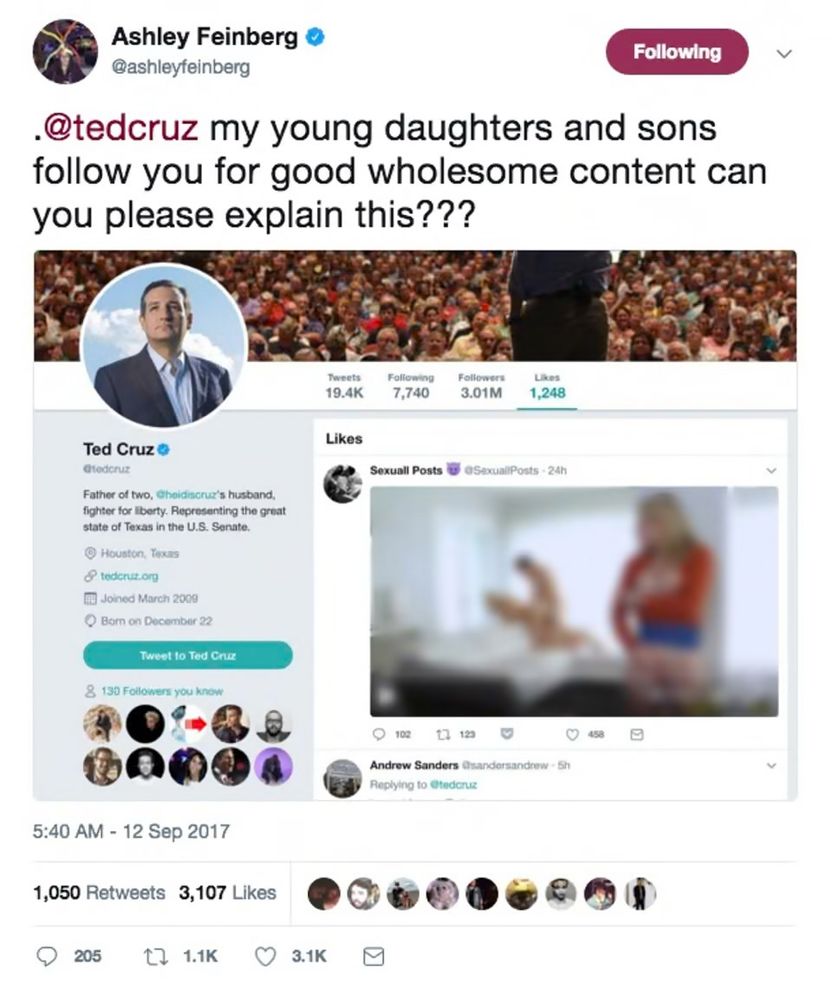 A screenshot of a tweet:
Ashley Feinberg
@ashleyfeinberg
@tedcruz my young daughters and sons follow you for good wholesome content can you please explain this??? 

referencing Ted Cruz’s liked post including a blurred media on an account “sexual posts”
The post was incest porn as well