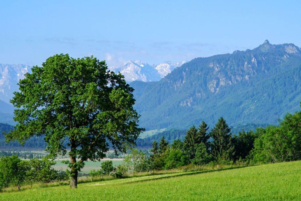 Die schönsten Spaziergänge rund um Murnau am Staffelsee