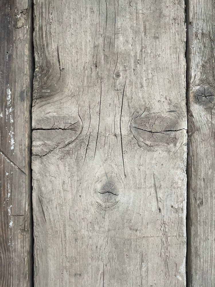 Piece of old wood with an owl like face within the knots