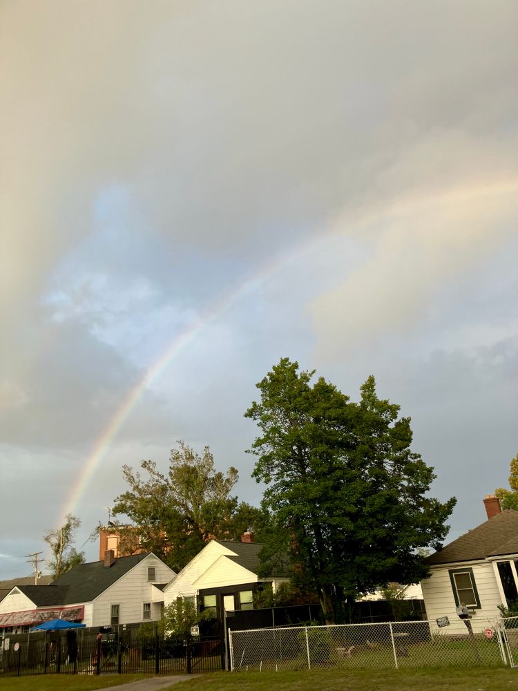 a rainbow over some white houses. there’s also a big green tree