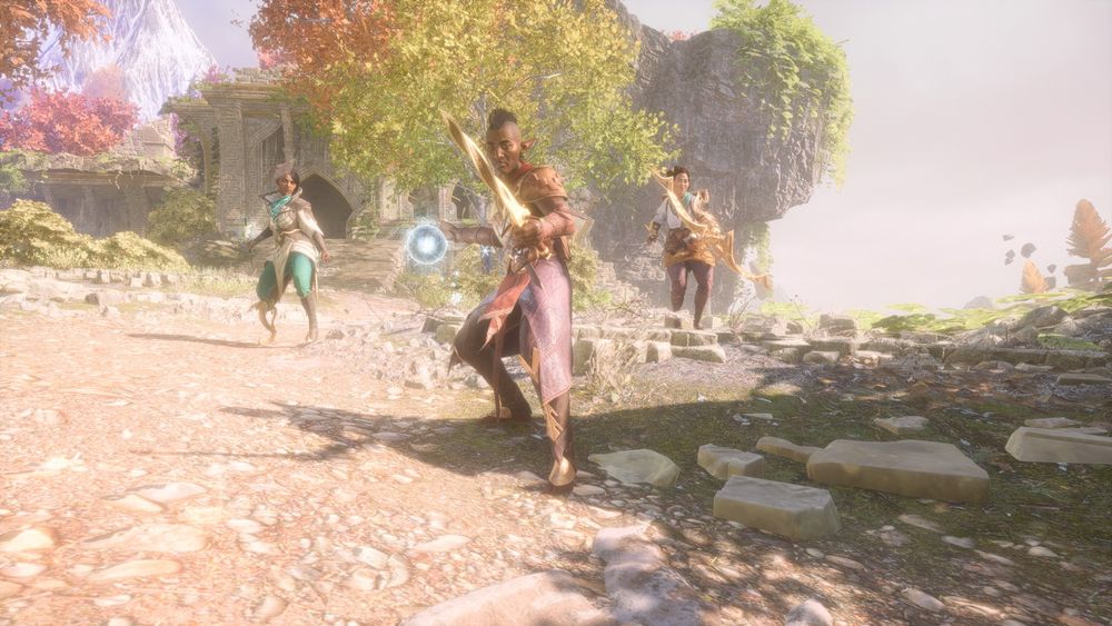 Neve with a staff Mage Rook with a dagger and Bellara with her bow