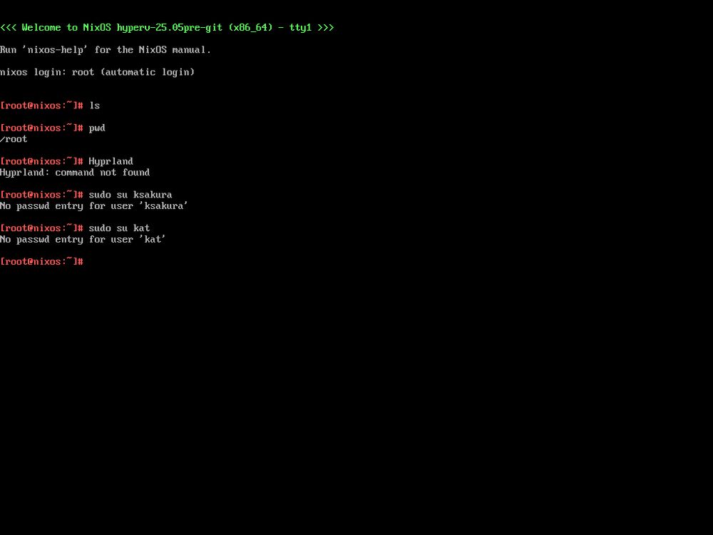 <<< Welcome to NixOS hyperv-25.05pre-git (x86_64) - tty1 >>>

Run ‘nixos-help’ for the NixOS manual.

nixos login: root (automatic login)

[root@nixos:~]# ls

[root@nixos:~]# pwd
/root

[root@nixos:~]# Hyprland
Hyprland: command not found

[root@nixos:~]# sudo su ksakura
No passwd entry for user 'ksakura'

[root@nixos:~]# sudo su kat
No passwd entry for user 'kat'

[root@nixos:~]#