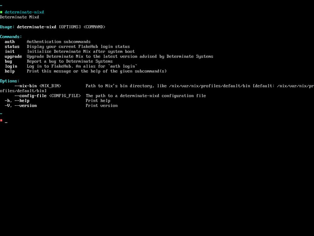 terminal output for determinate-nix which was successful