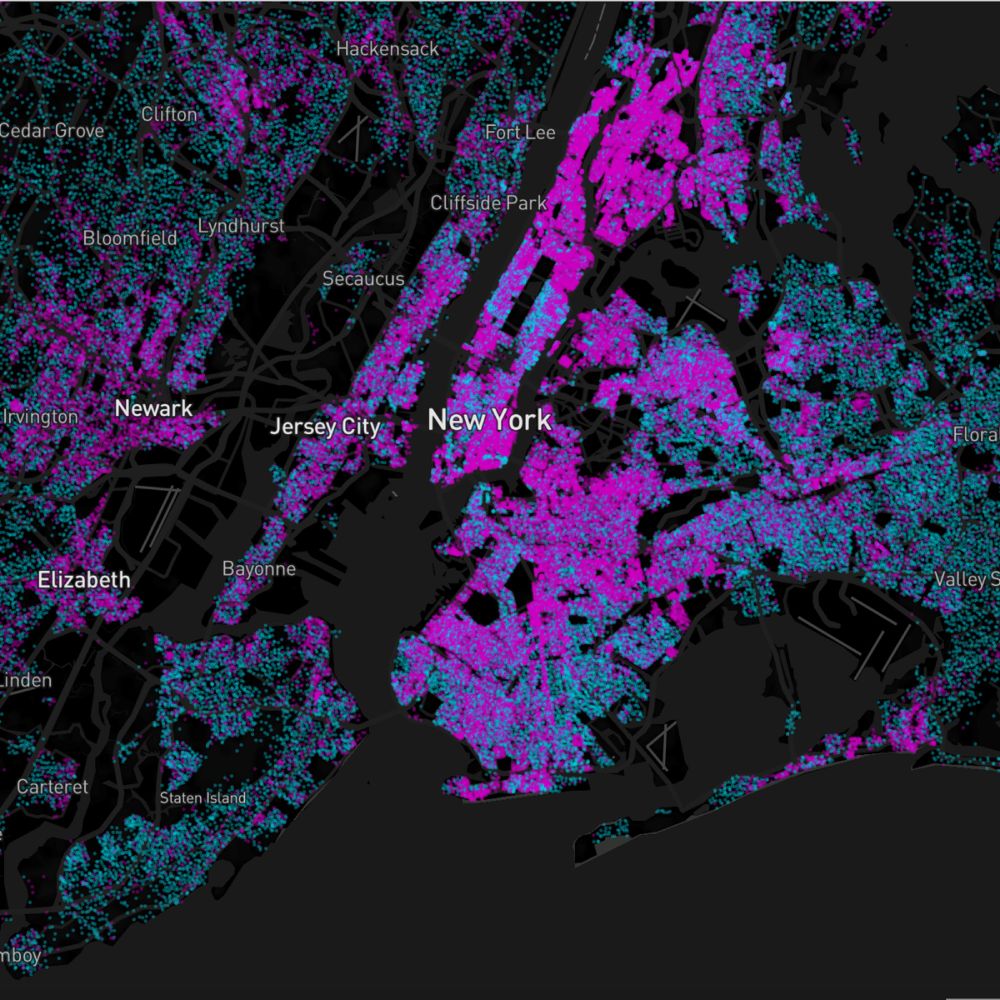 Renters, Owners, and the New York City Left's Mayoral Ennui