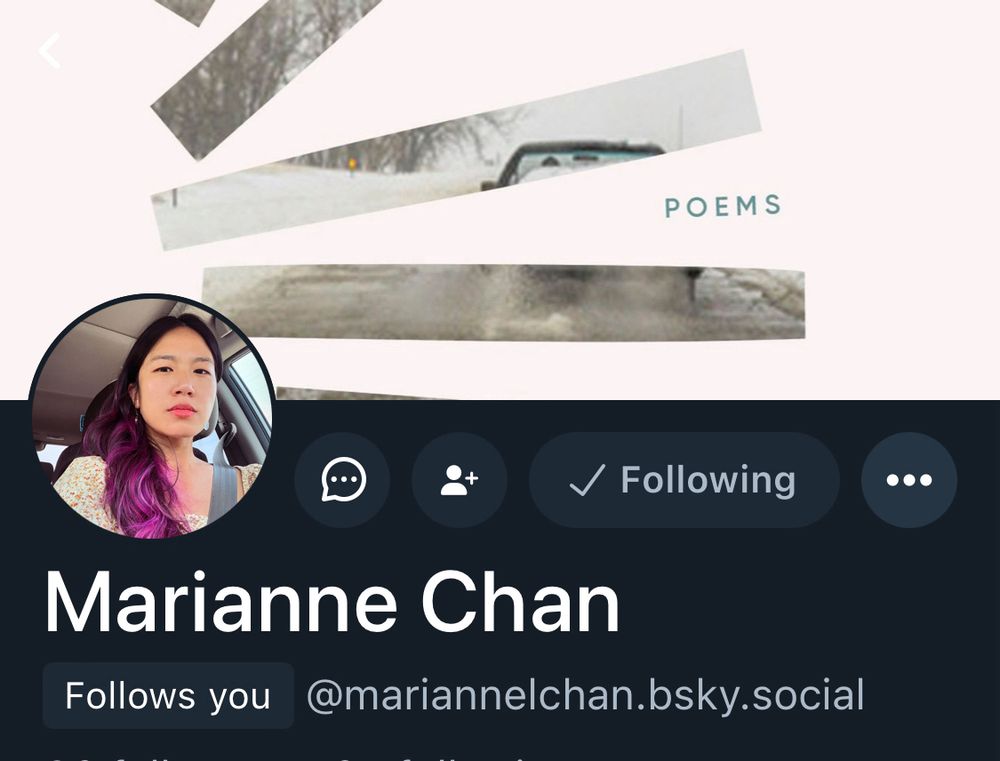 Marianne Chan’s Bluesky profile 🩷