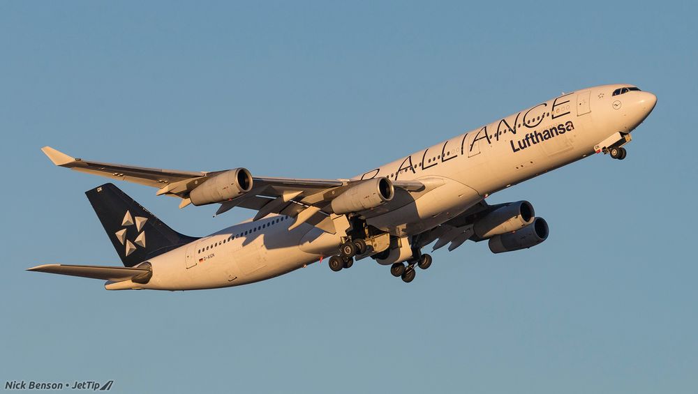 A Lufthansa A340-300 in Star Alliance colors departing, its main gear not yet retracted.