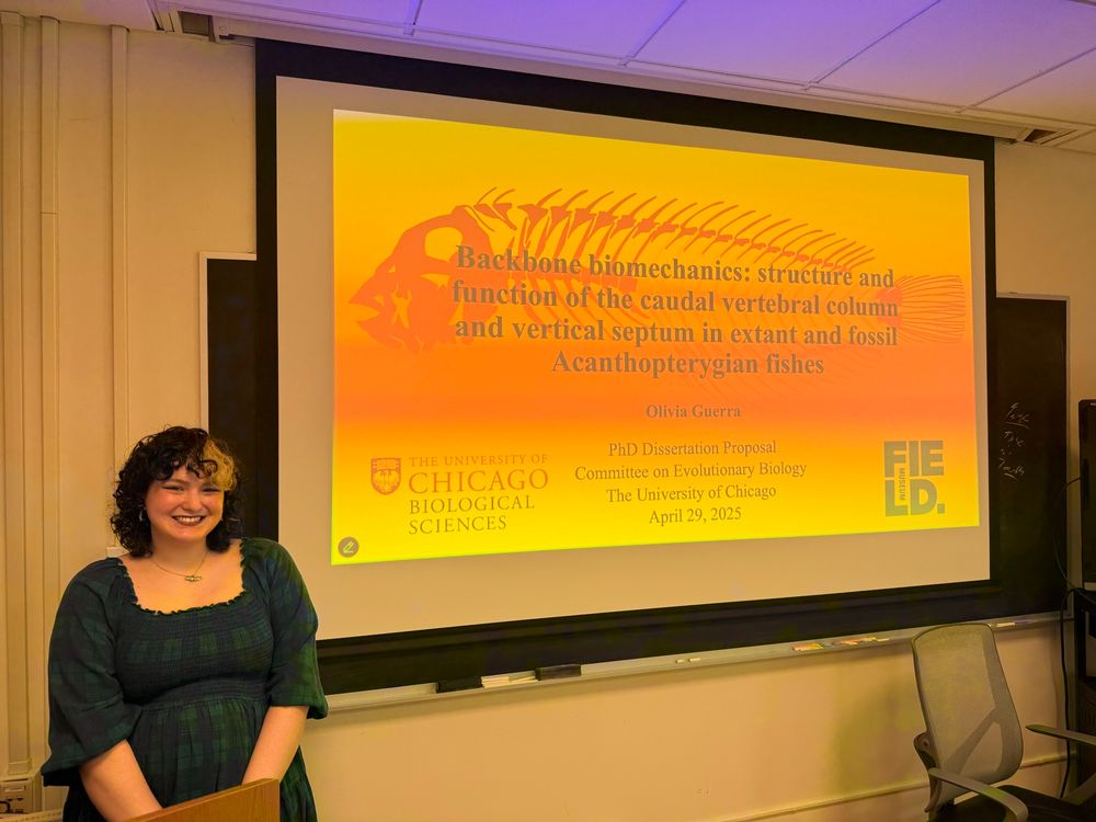 Olivia Guerra presenting thesis proposal this afternoon on backbone biomechanics in fishes 