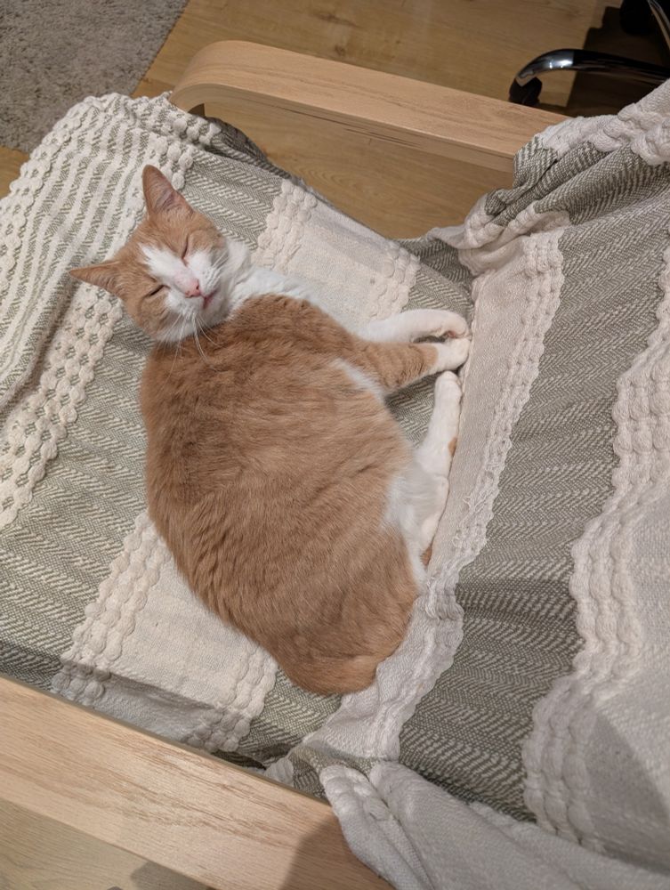 Photo of a ginger and white cat lying in a chair covered in a green and white striped throw, barely awake and looking at the camera.