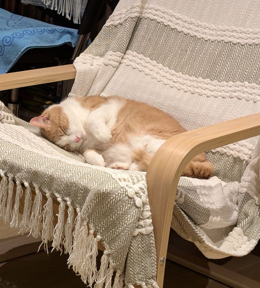 Photo of a ginger and white cat curled up in a chair with wooden arms and a green and white striped throw. The cat's front paws are in the air like a bunny.