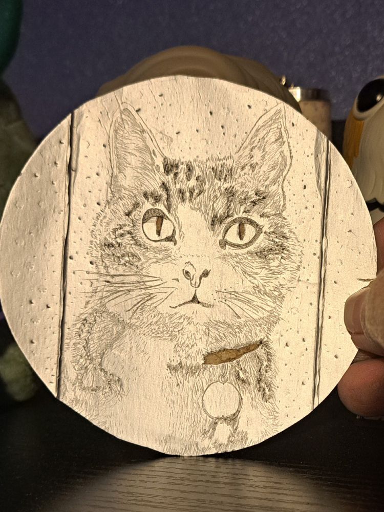 A circular tetrapak of a cats face.