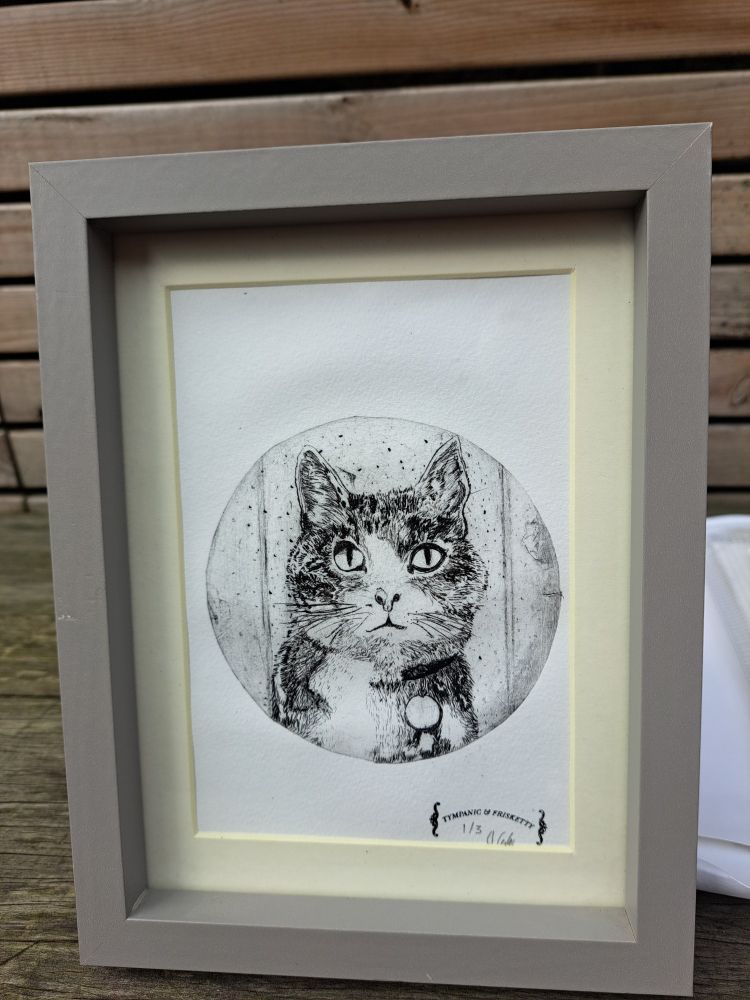 The framed print of Minibeast the cat