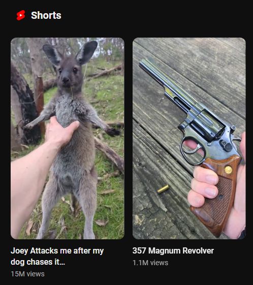 two random Youtube shorts thumbnails create an image when combined looking like a first person perspective of someone about to shoot a baby kangaroo named Joey with a .357 magnum revolver.