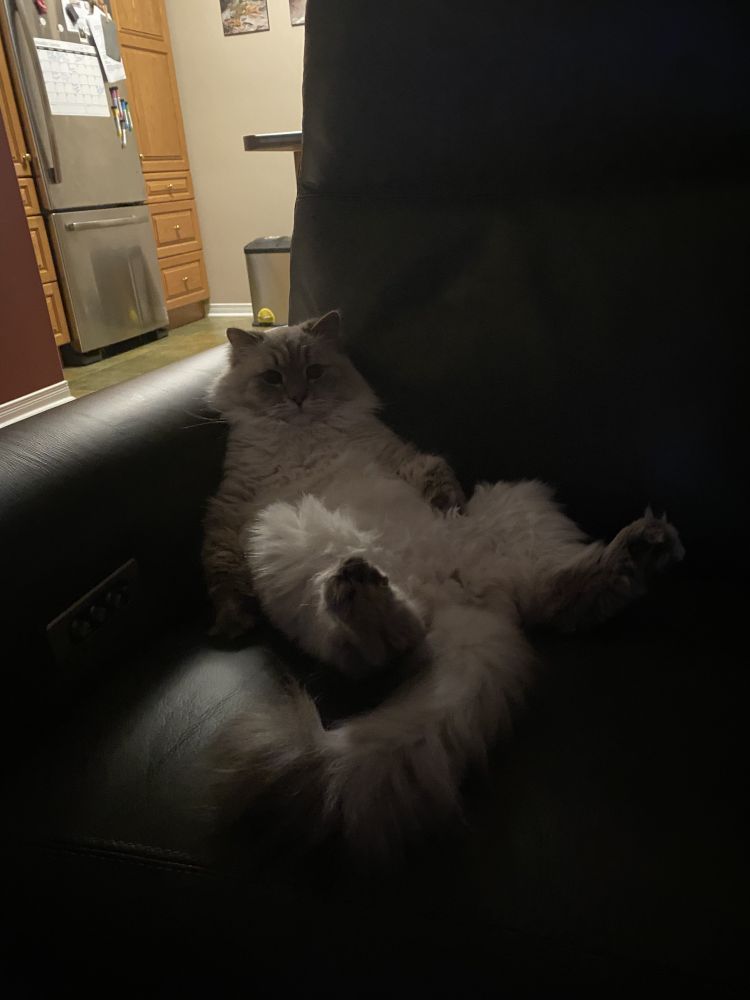 different picture of the same thing