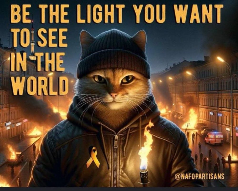 Comment image