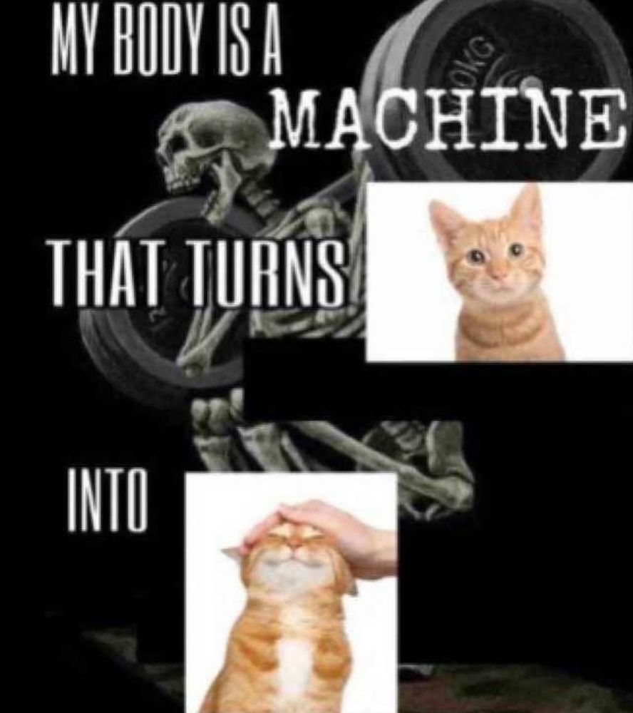 Skeleton meme that says: My body is a Machine that turns "cat" into "petted cat"