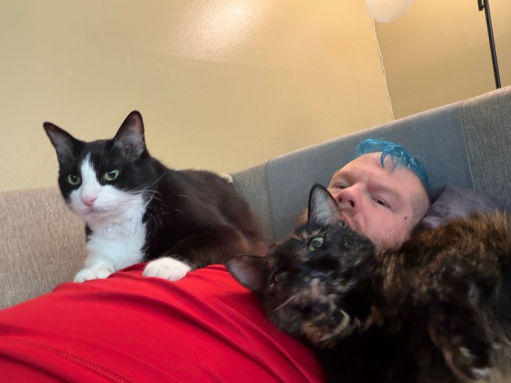A tuxedo cat and tortoishell cat lay on their human. 