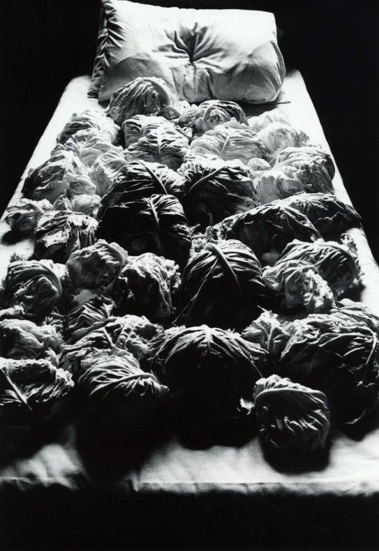 Cabbages and Bed #2, 1979

Ha producido obras fotográficas únicas de naturaleza muerta que utilizan alimentos frescos como tema principal. Las verduras aparecieron pronto, como en su primera obra Cabbages and Bed I (1979), que representa muchas coles llenando una cama.
