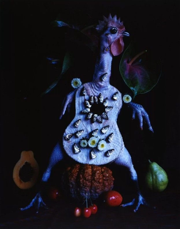 Pollo, calabaza y ukelele, 2001.

Se ha señalado que sus obras recuerdan a cómo un surrealista compondría cosas de diferentes contextos en el mismo escenario para crear un significado nuevo y extraño. 
Los espectadores luchan por ver la imagen completa, y en su lugar ven cada parte como el tema en sí mismo, similar a los retratos del pintor manierista  Giuseppe Arcimboldo. 