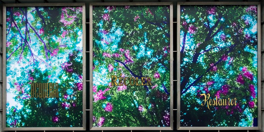 L'avant printemps, 2016

Su obra se encuentra, entre otras, en las colecciones del Museo de Bellas Artes de Houston ,  el Museo de Arte Moderno de París ,  el Centro Pompidou   y el Fondo Nacional de Arte Contemporáneo . 