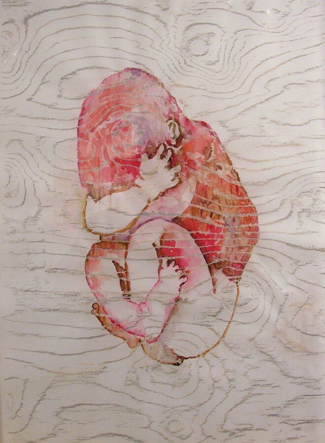 Nest, 2010
 Tal día como hoy 28 de noviembre nació la artista israelí Miri Nishri (1950)
