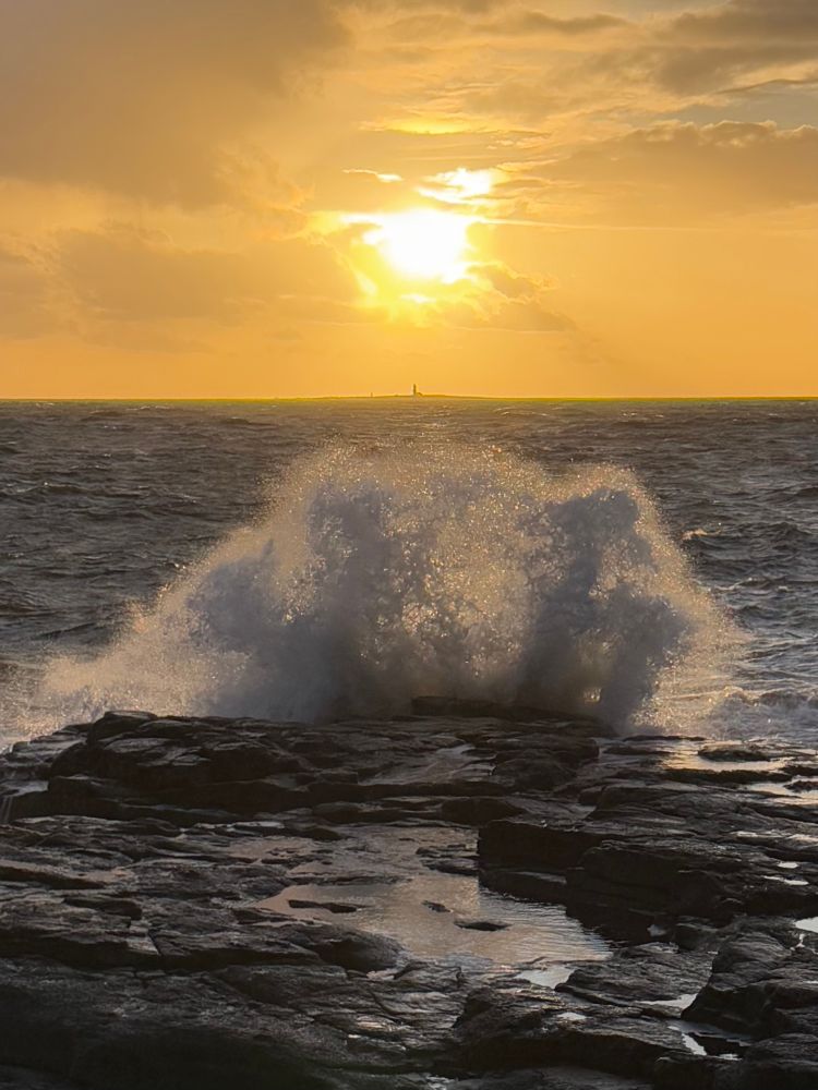 Wave hitting the rocks under a golden sun