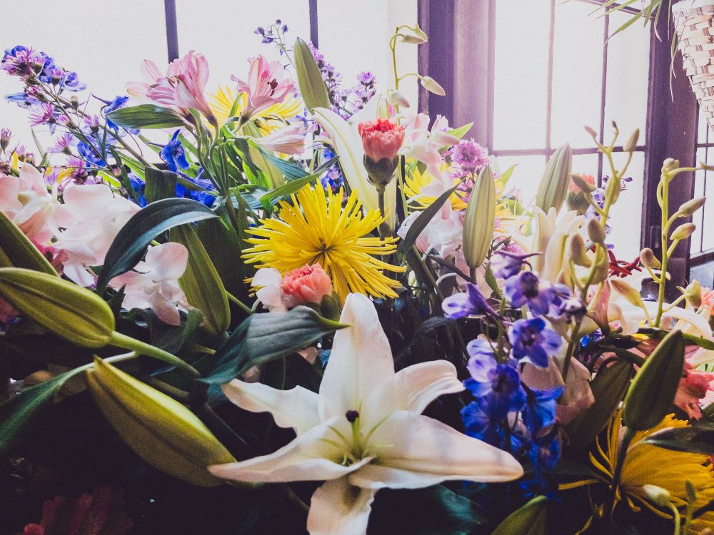 Easter flowers in the cloister walk