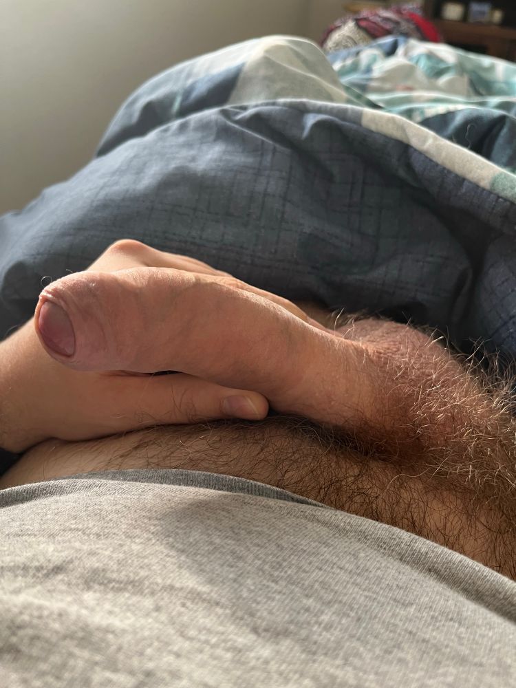 A photo of a hard, uncut cock lit by morning light 
