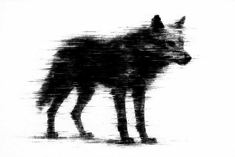 Beauty in Breakdown — Where Nature Meets the Glitch
