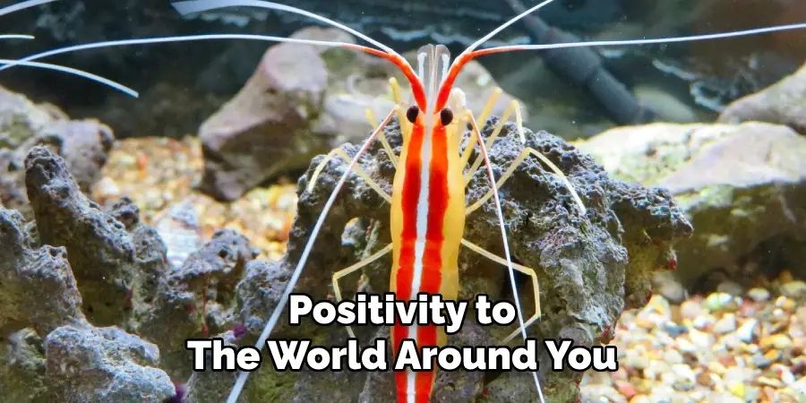 a cleaner shrimp with yellow, red, and white vertical stripes along its body sat on an underwater rock, with white text that reads "Positivity to the world around you"