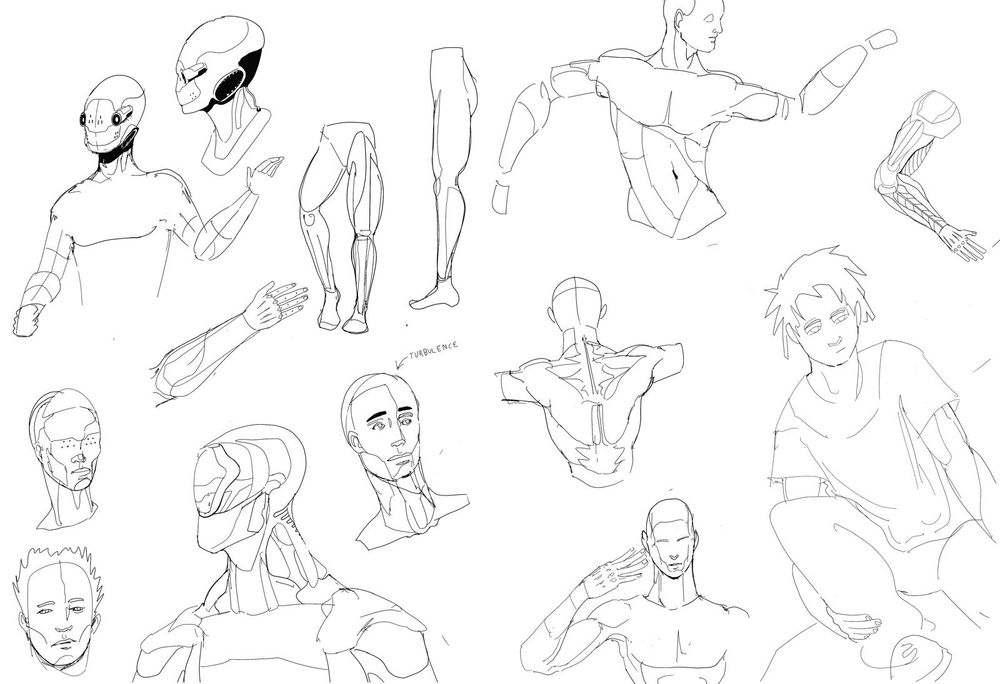 some general anatomy and scifi ideas