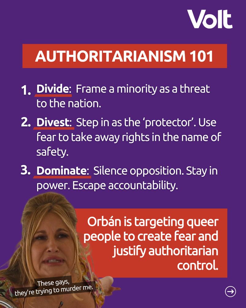 Title reads: “Authoritarianism 101.” Three steps listed:
Divide: Frame a minority as a threat to the nation.
Divest: Step in as the “protector.” Use fear to take away rights.
Dominate: Silence opposition. Stay in power. Escape accountability.
Below, in a red rectangle, a quote reads: “Orbán is targeting queer people, using fear to justify authoritarian control.” Subtext says: “This isn’t just an attack on queer people; it’s an attack on democracy and freedom.” In the corner is a meme image of Jennifer Coolidge saying, “These gays, they’re trying to murder me” — a reference to The White Lotus season 2.
Volt logo in the top right corner.