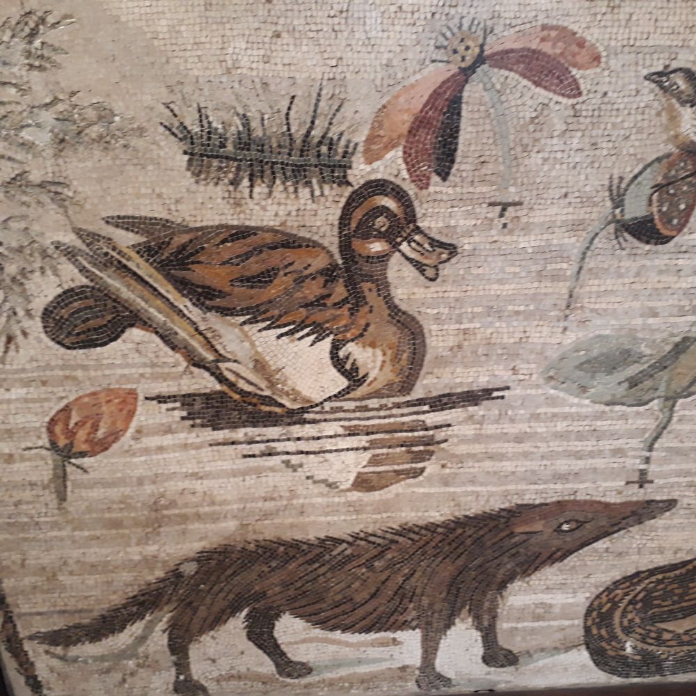 Ausschnitt aus einem römischen Mosaik, aus Pompeji, das eine Ente, eine Libelle, ein kleines Stück Schlange, eine Seerose und einen am Ufer nach links schielenden (vermutlich) Dachs zeigt. 