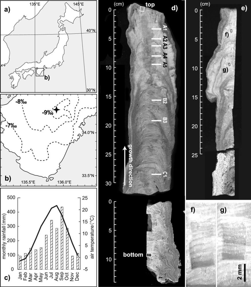 A snapshot of the climate in the Middle Pleistocene inferred from a stalagmite from central Japan - Geoscience Letters