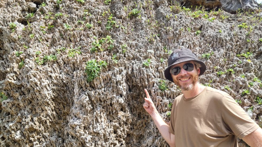 A picture of me pointing to another large coral fossil that exceeds my height.