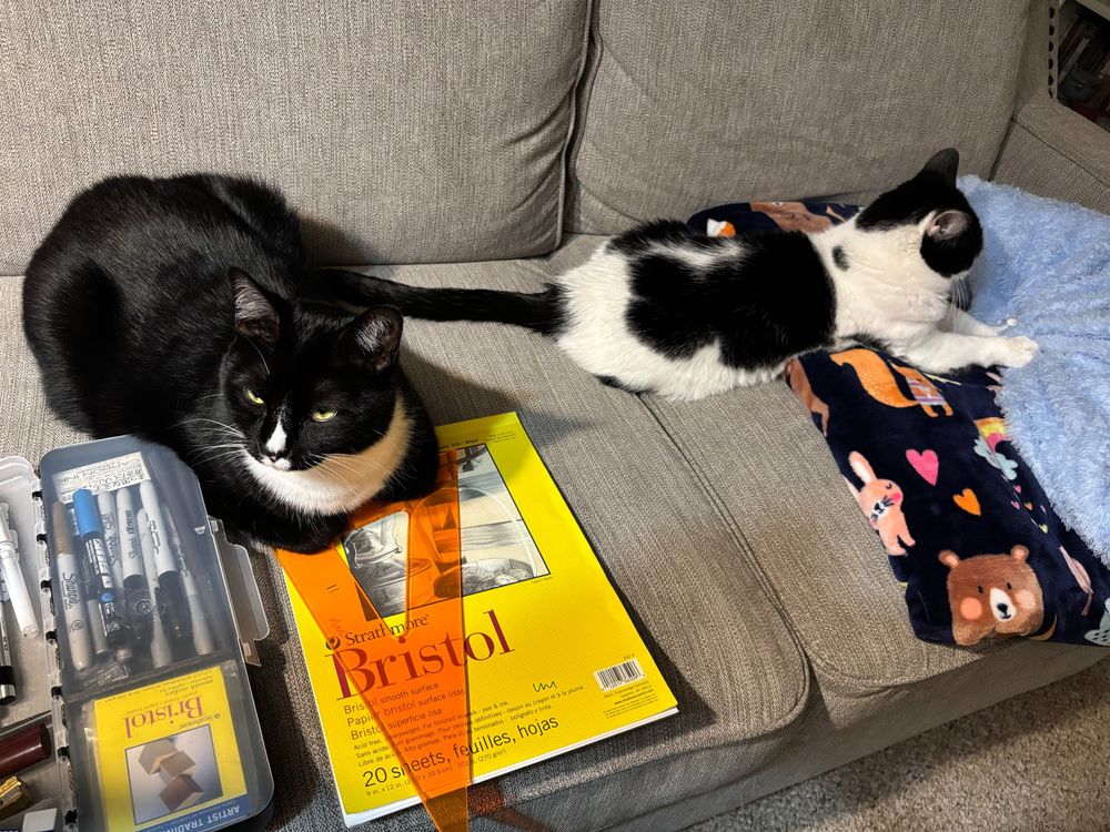 Two black and white cats on a sofa with blankets and art supplies.