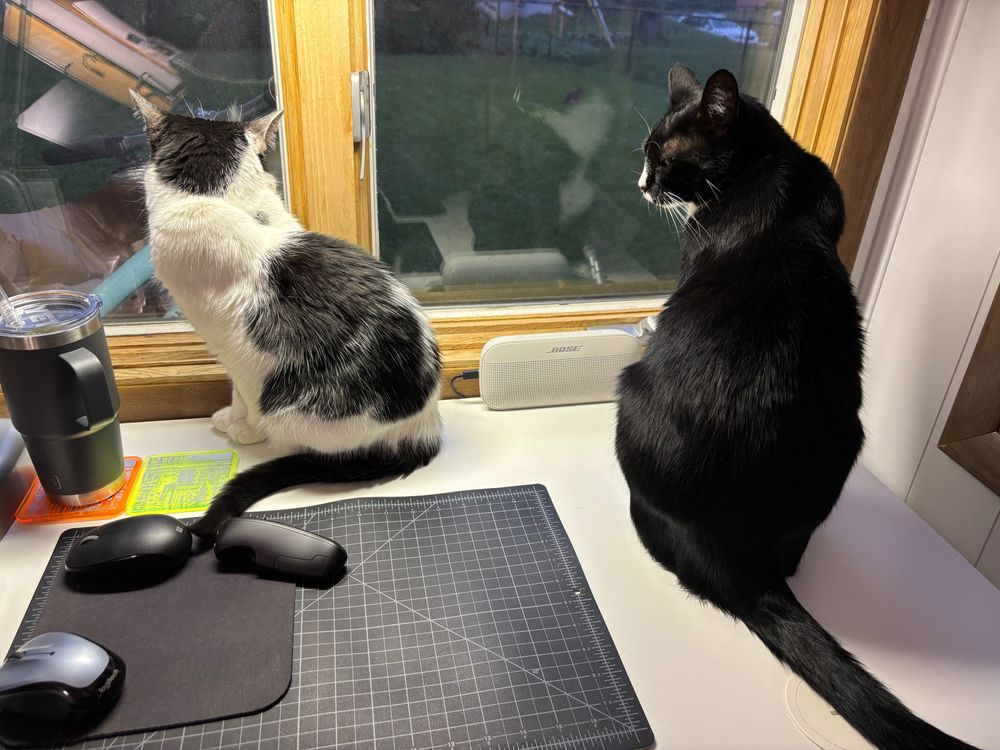Two cats on a desk looking out a window.