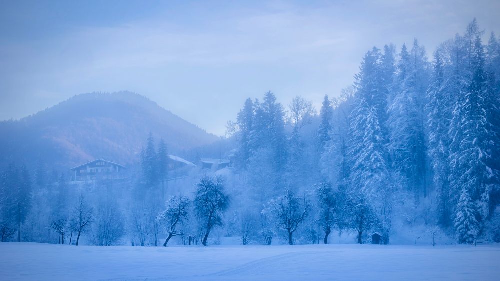 Eine verschneite Winterlandschaft im bläulichen Morgenlicht