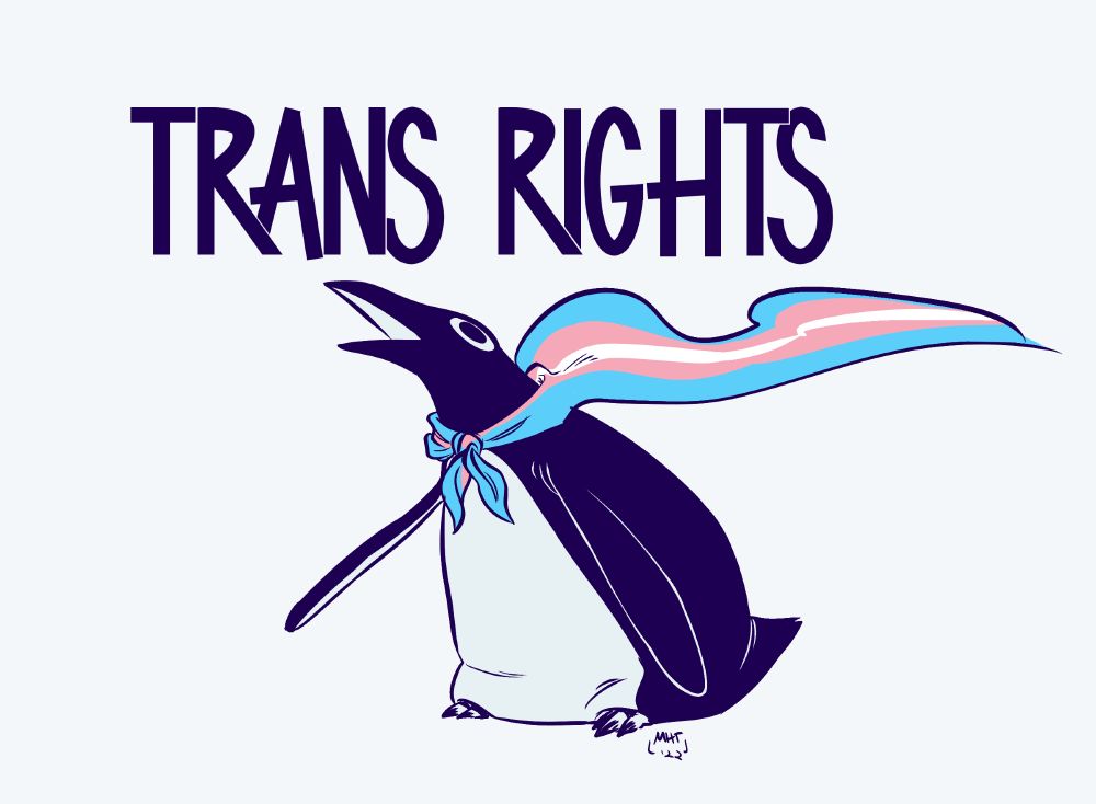 My character - a Penhuin named Honk - a trans flag tied around his neck like a super hero cape. 
Above him read the Words "TRANS RIGHTS"