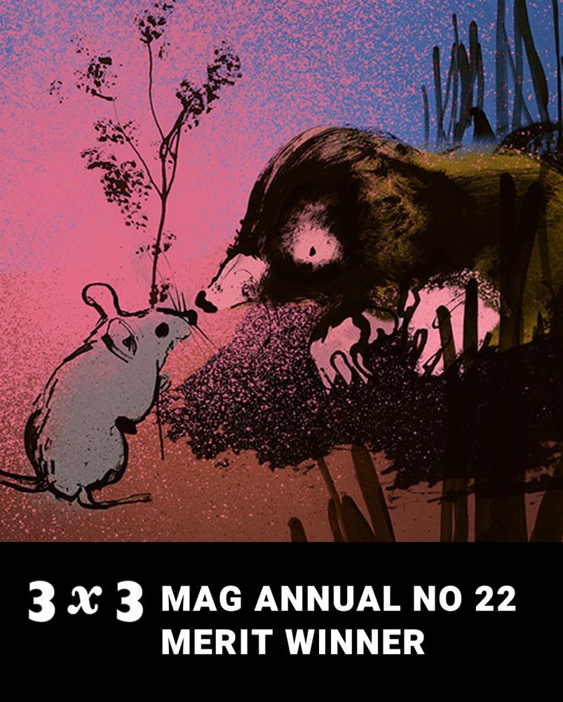 Zeigt eine Illustration aus dem Buch, dazu der Schriftzug „3x3 Mag Annual No22 Merit Winner“