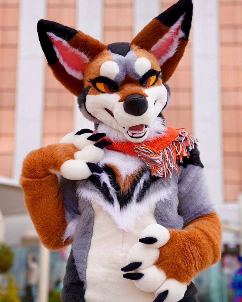 Coyote full suit with a sultry expression looks down at you.