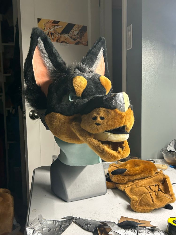 A work in progress picture of a foam carved fursuit head, with the fur pattern partially complete.
