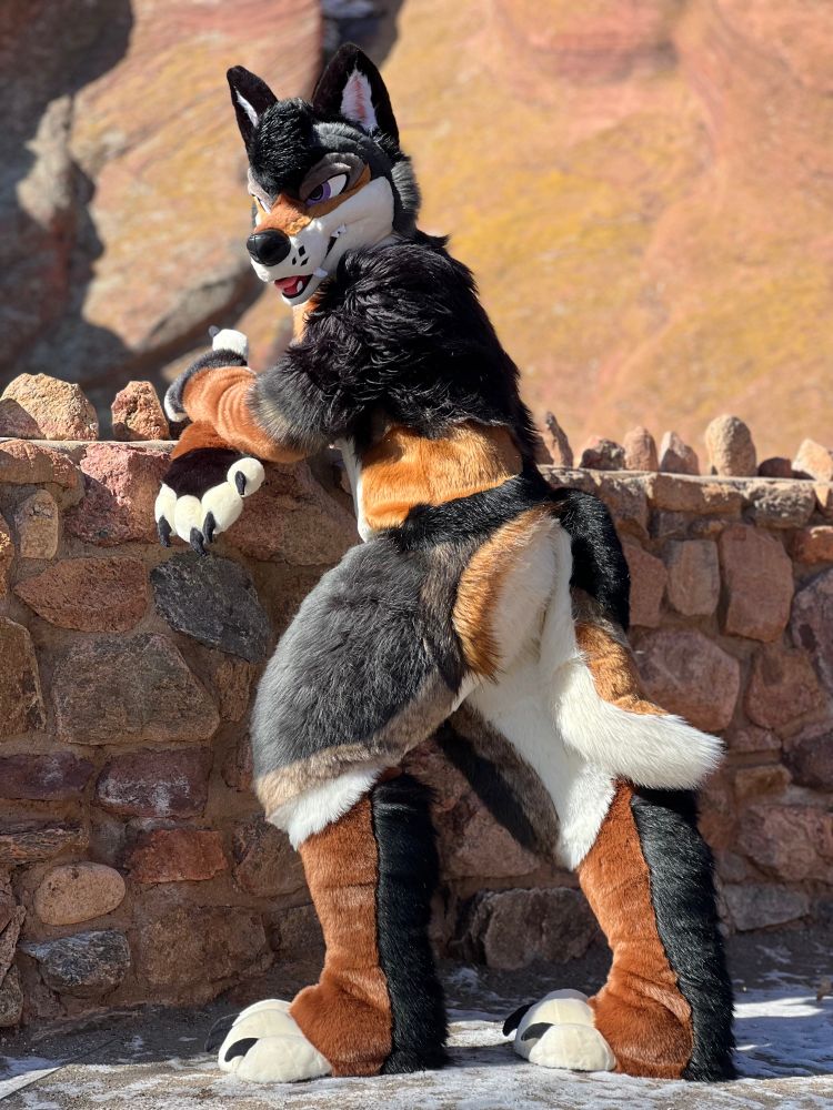 Same fursuiter poses leaning forward against a stone wall. He looks over his shoulder at you.
