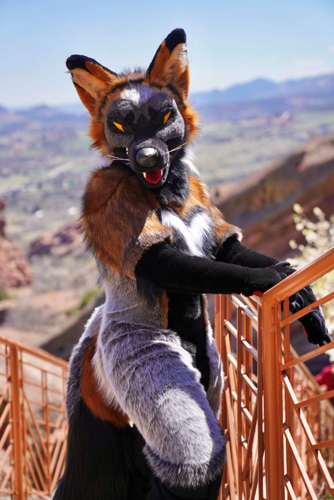 A dubious little creeeature, getting up to mischief. This is NO good.