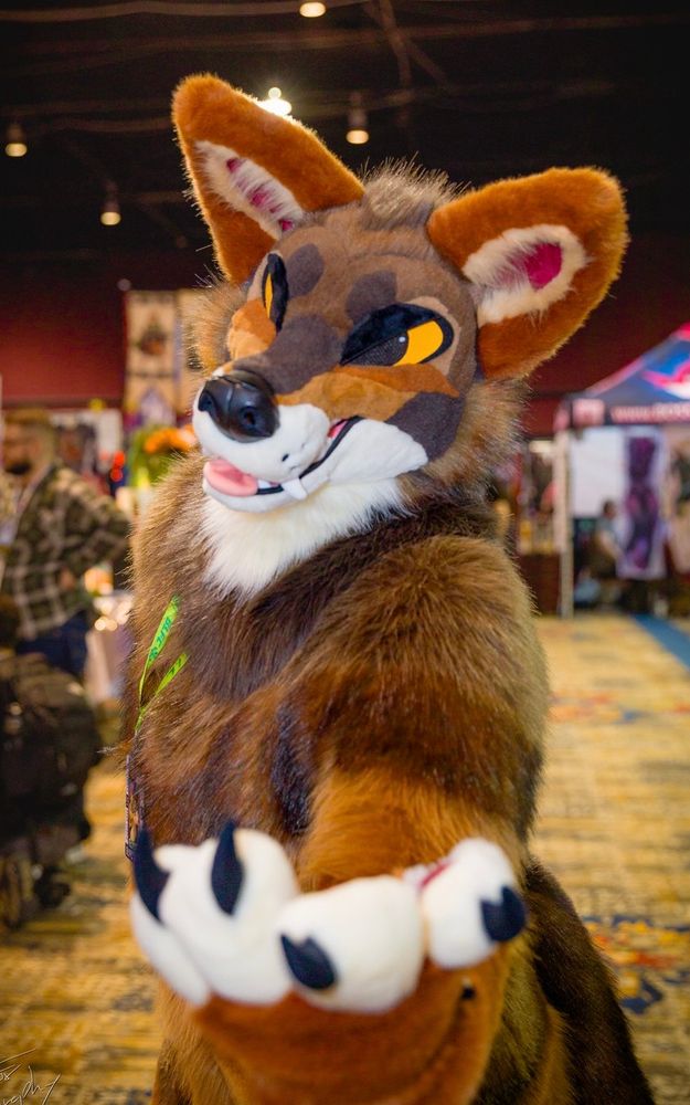 Coyote full suit extends his paw out to you. His sly expression tells you that he’s entirely trustworthy.