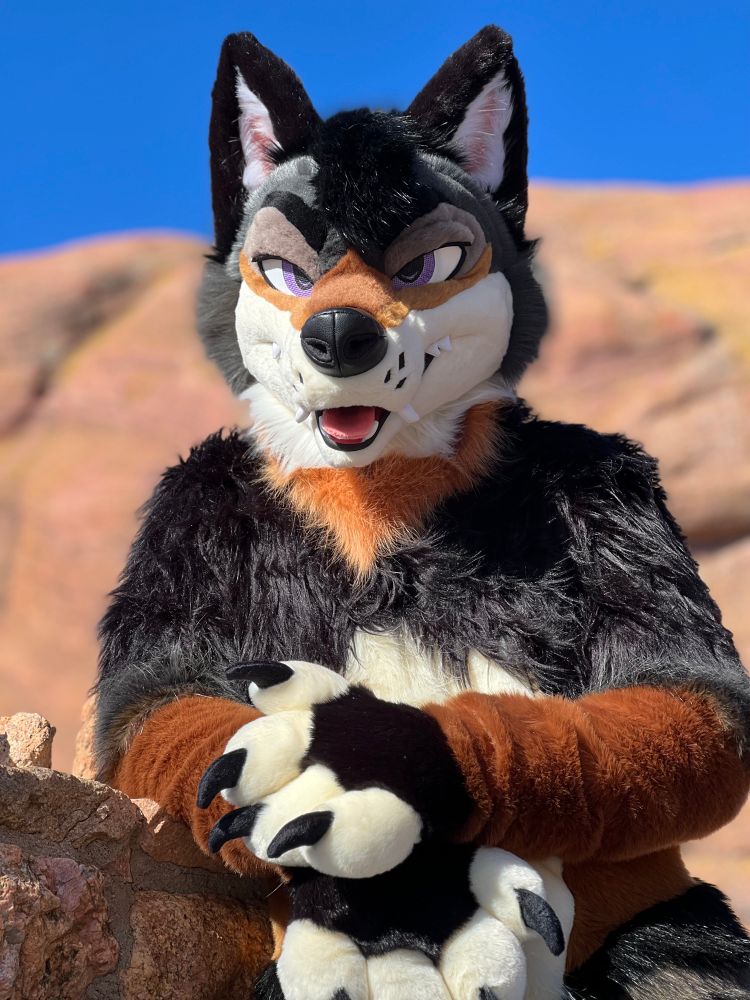 Black, orange, brown and white wolf fursuiter with sultry purple eyes looks at you with his arms crossed.